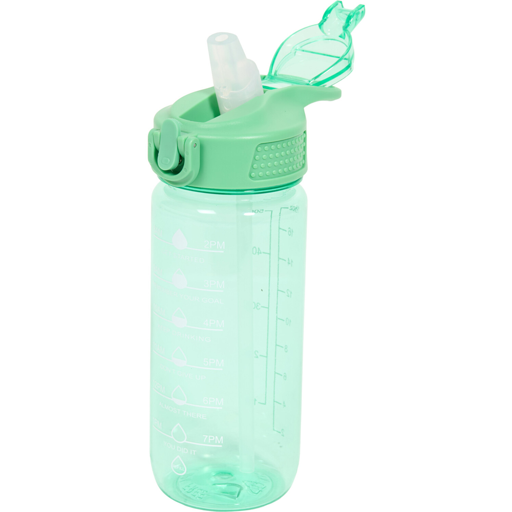 Flip-Up Straw Bottle with Handle Image 9