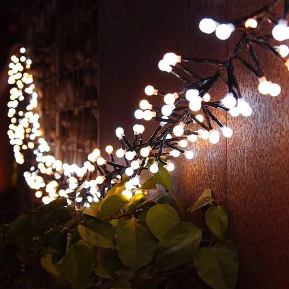 AMOS 500 Bright White LED Berry Cluster Light Image