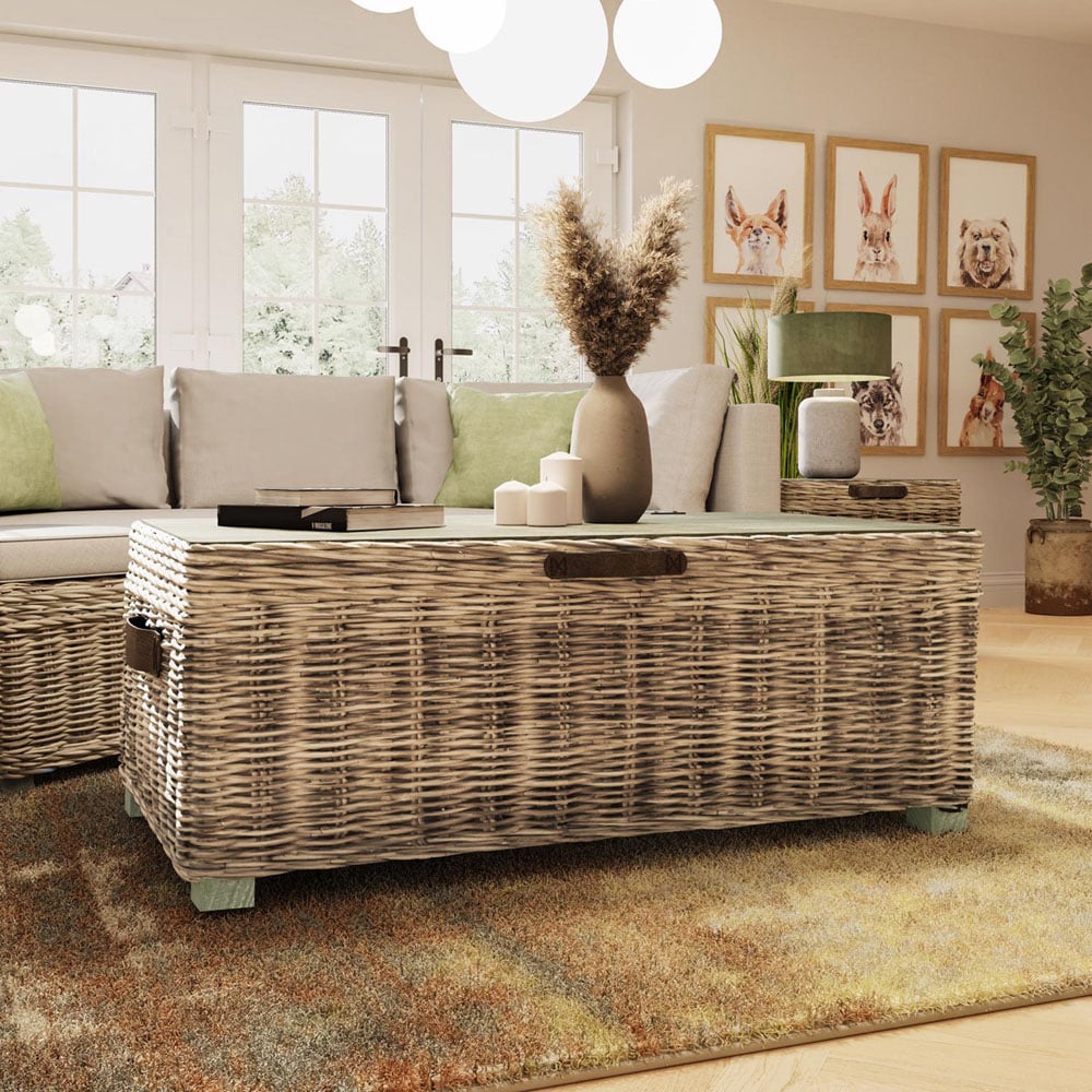 FWStyle Maya Light lime Wash Handmade Lift Up Storage Coffee Table Image 5