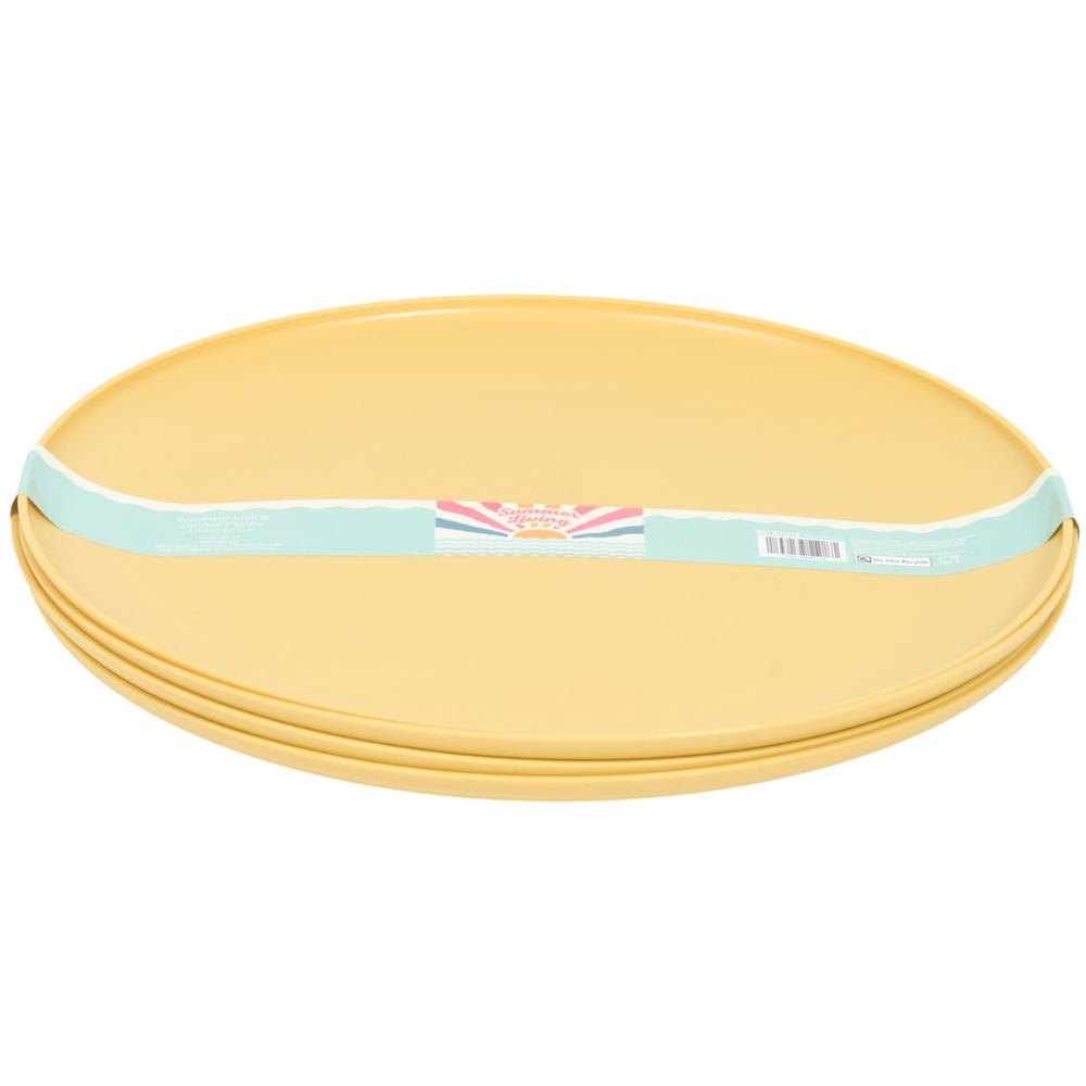 Pack of 4 Summer Dinner Plates Image 5
