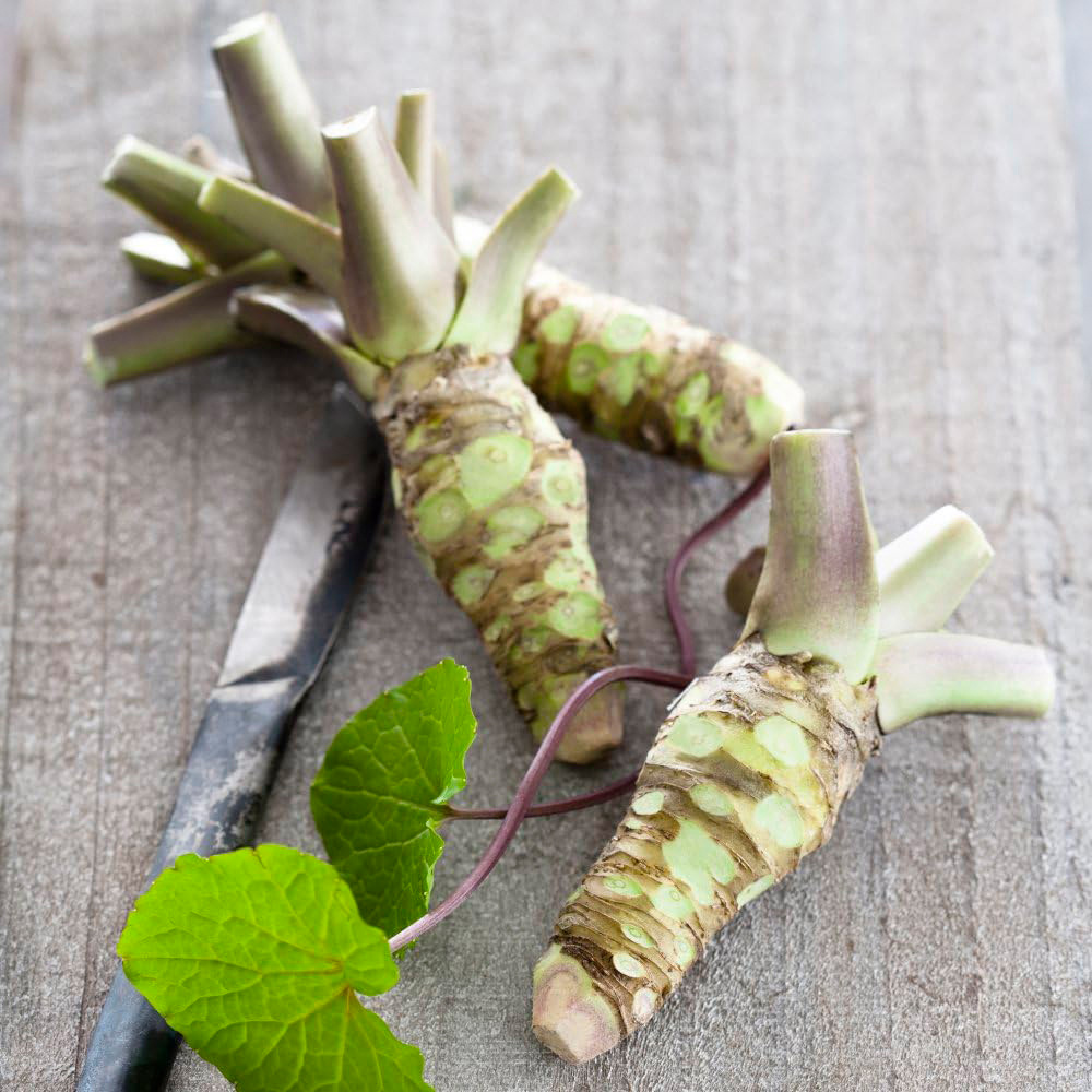 Thompson & Morgan Vegetable Wasabi Mephisto Green Plug Plant Image