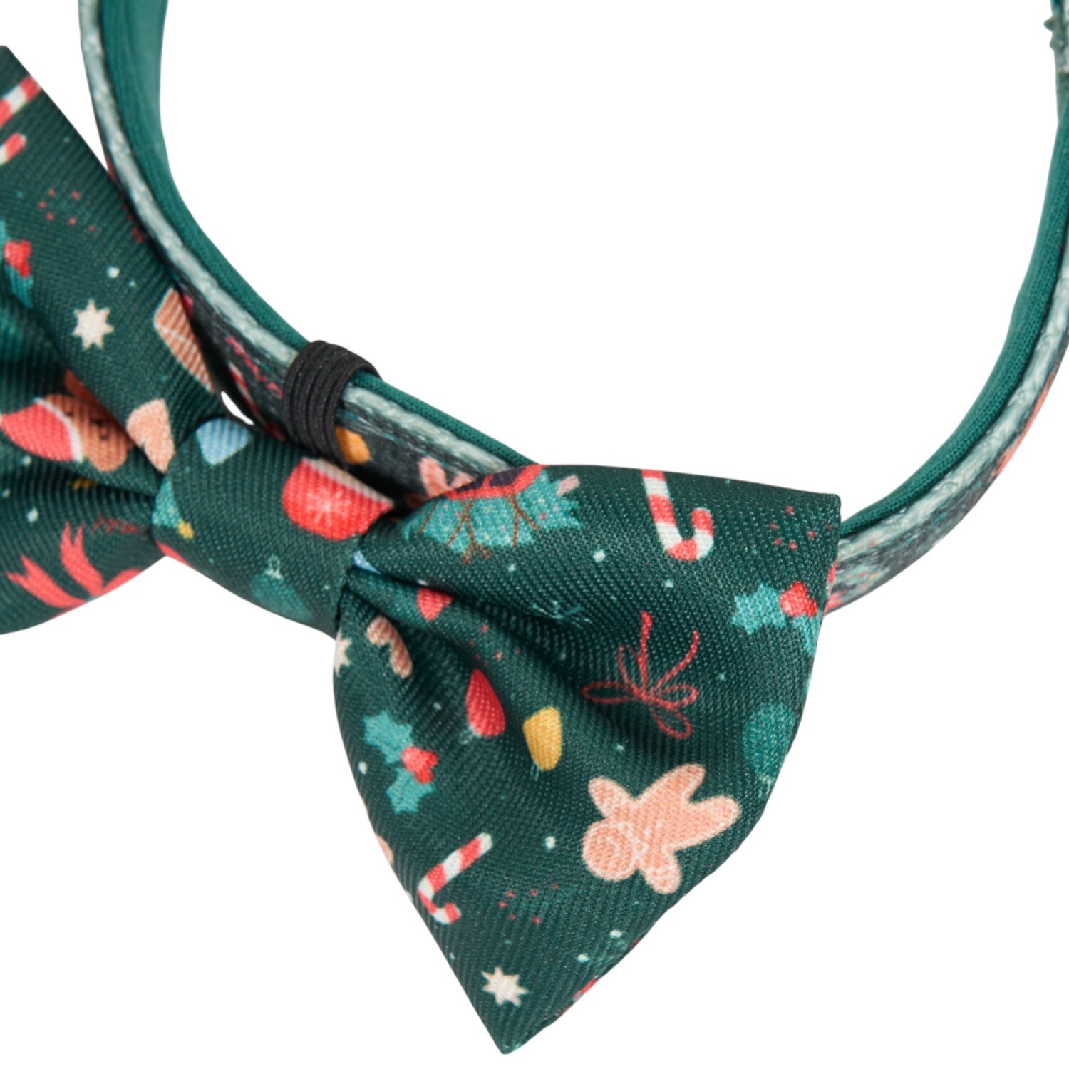 Festive Dog Lead and Collar Set Teal M Image 3