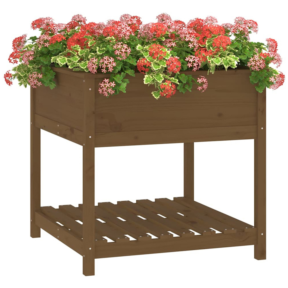 vidaXL Honey Brown Solid Pine Wood Garden Planter with Shelf 81 x 82.5 x 82.5cm Image 3