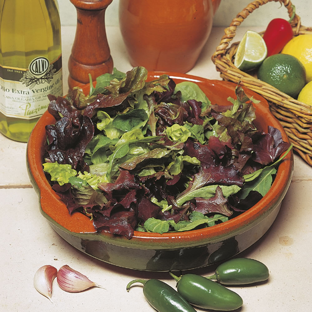Johnsons Lettuce Mix Salad Leaves Seeds Image 1