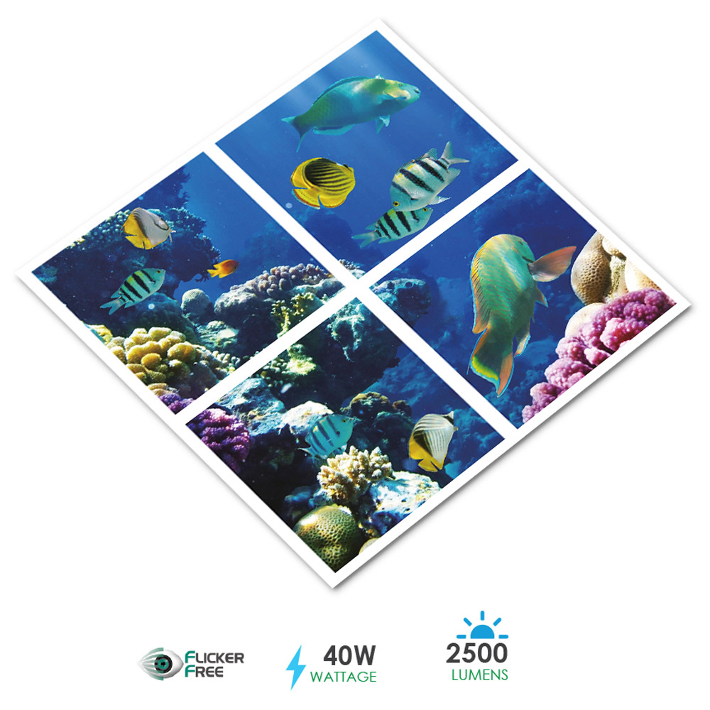 ENER-J 4 Marine Ocean 3D LED Panel Set Image 3