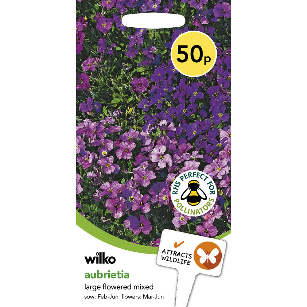 Wilko Aubertia Large Flower Mix Seeds Image 2