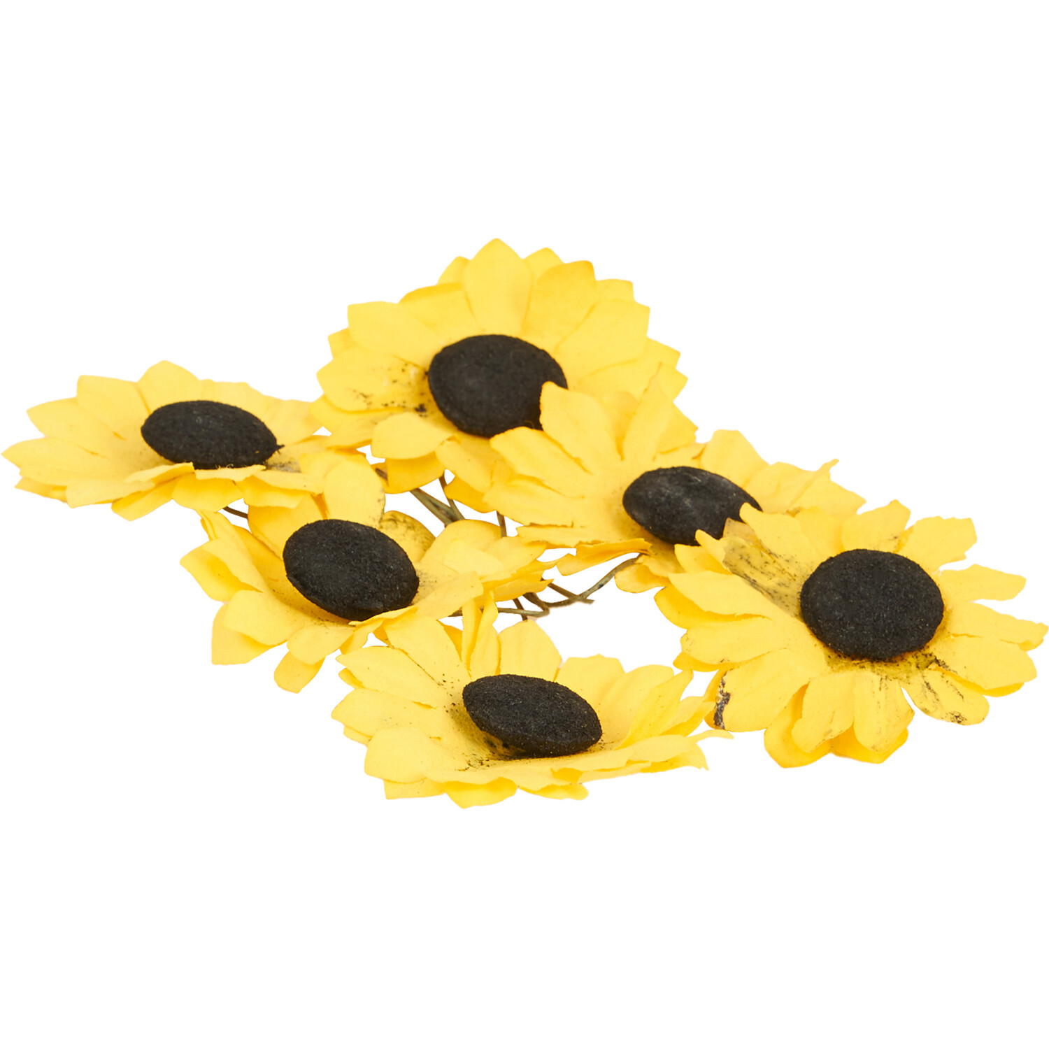 Art Studio Large Sunflower 6 Pack Image 4