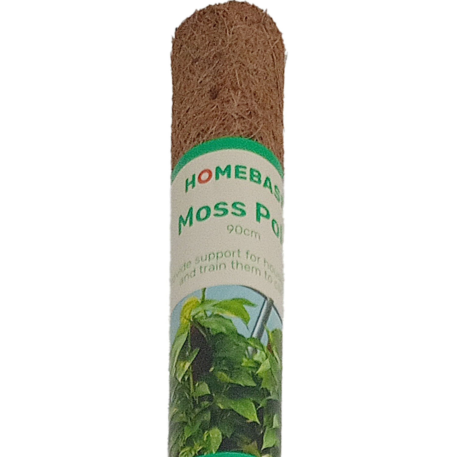 Moss Pole Image 2