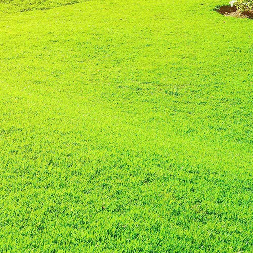 Ultimate Plus XP Grass Greening Superfood Granules 7.5kg Image 4