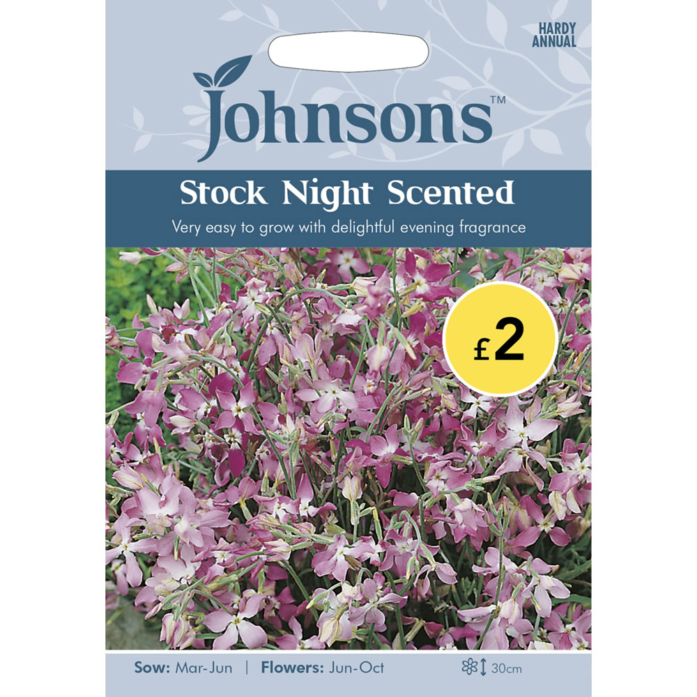 Johnsons Stock Night Scented Starlight Scentsation Flower Seeds Image 2