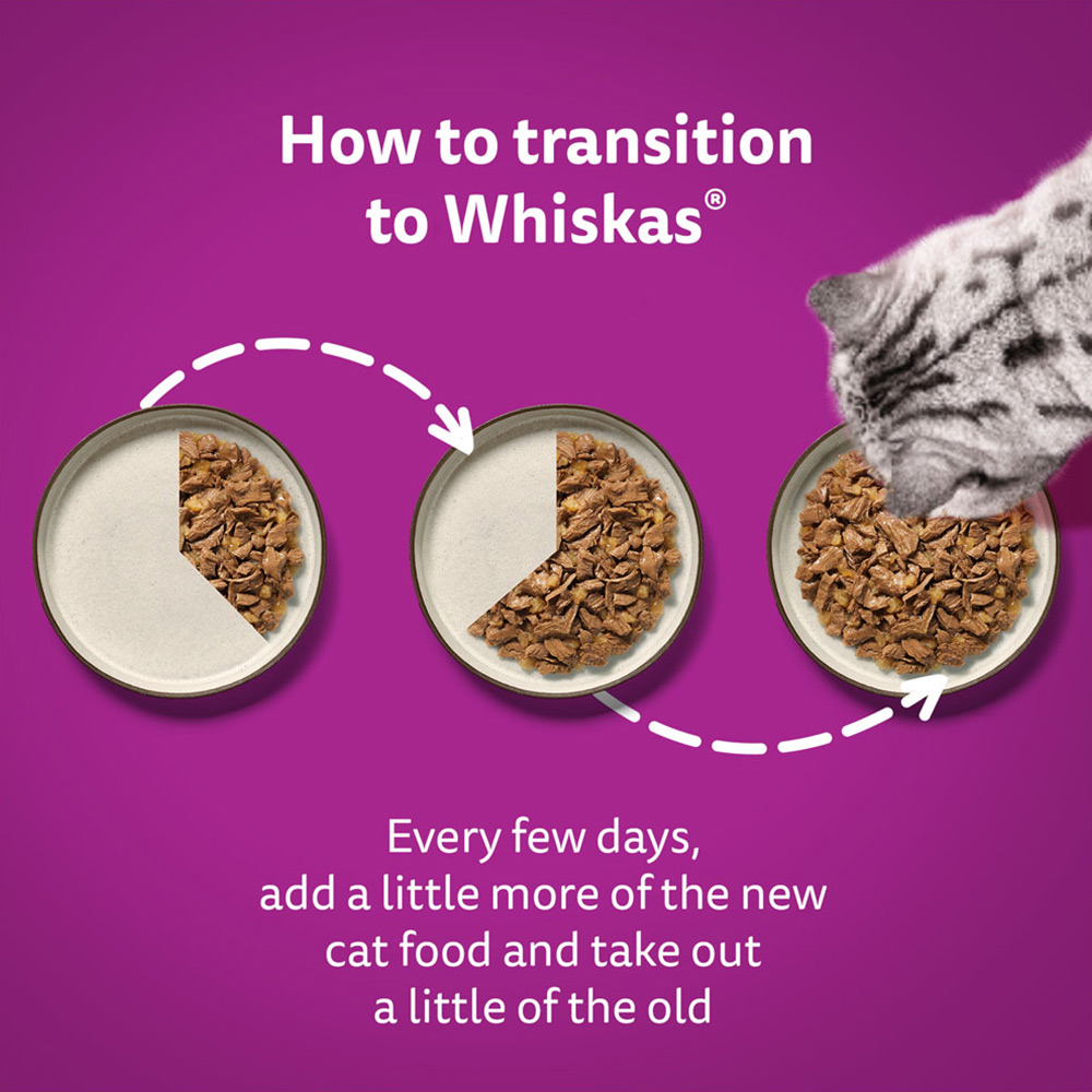 Whiskas Senior Fish Selection in Jelly Wet Cat Food Pouches 12 x 85g Image 6