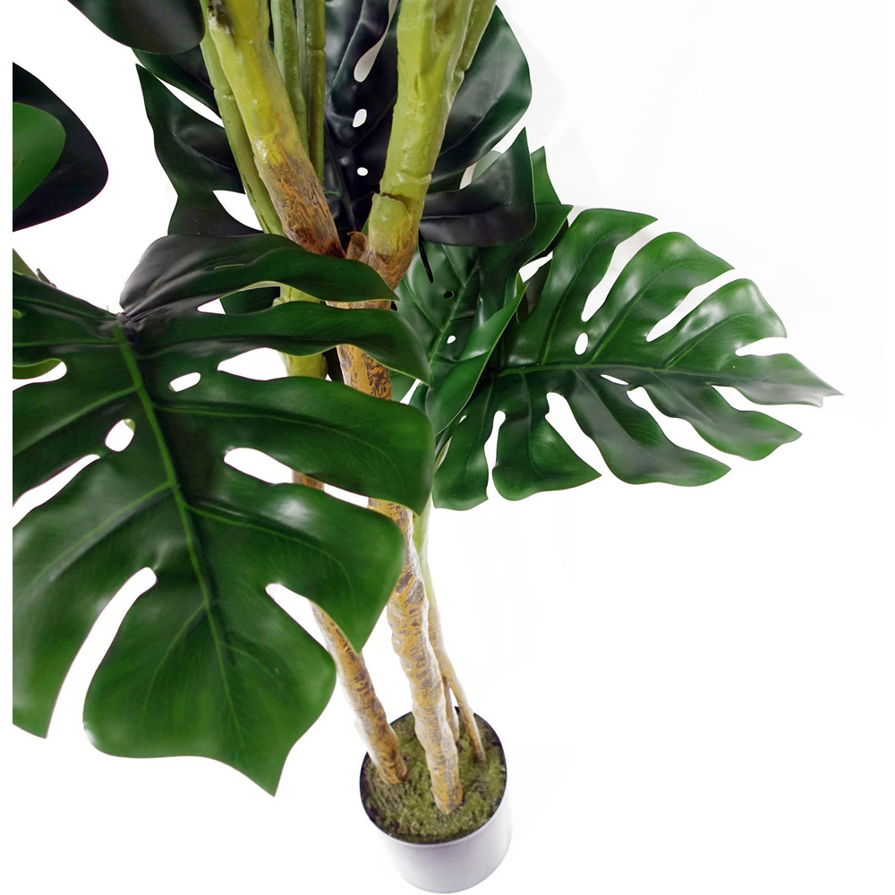 Botanik Monstera Artificial Plant in Pot 5ft Image 3