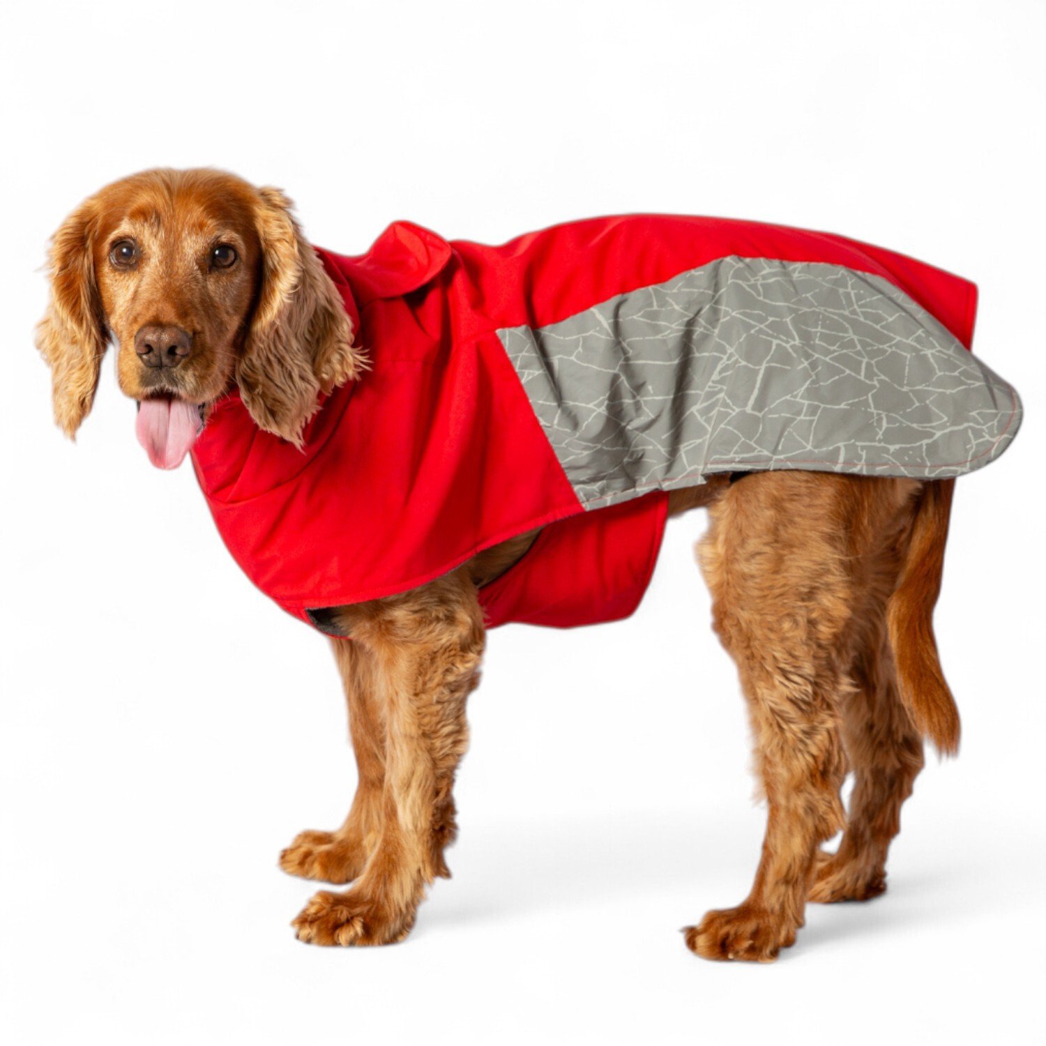 Discovery Reflective Dog Coat S Image 3