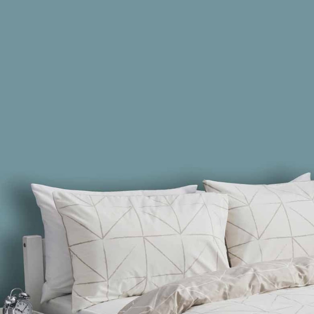 Wilko Walls & Ceilings Dark Duck Egg Silk Emulsion Paint 2.5L Image 6