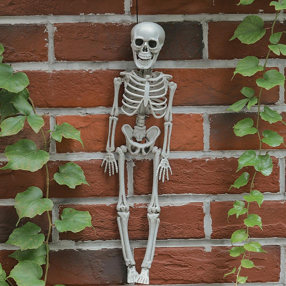 Living and Home Halloween Human Anatomy Skeleton 40cm Image 8