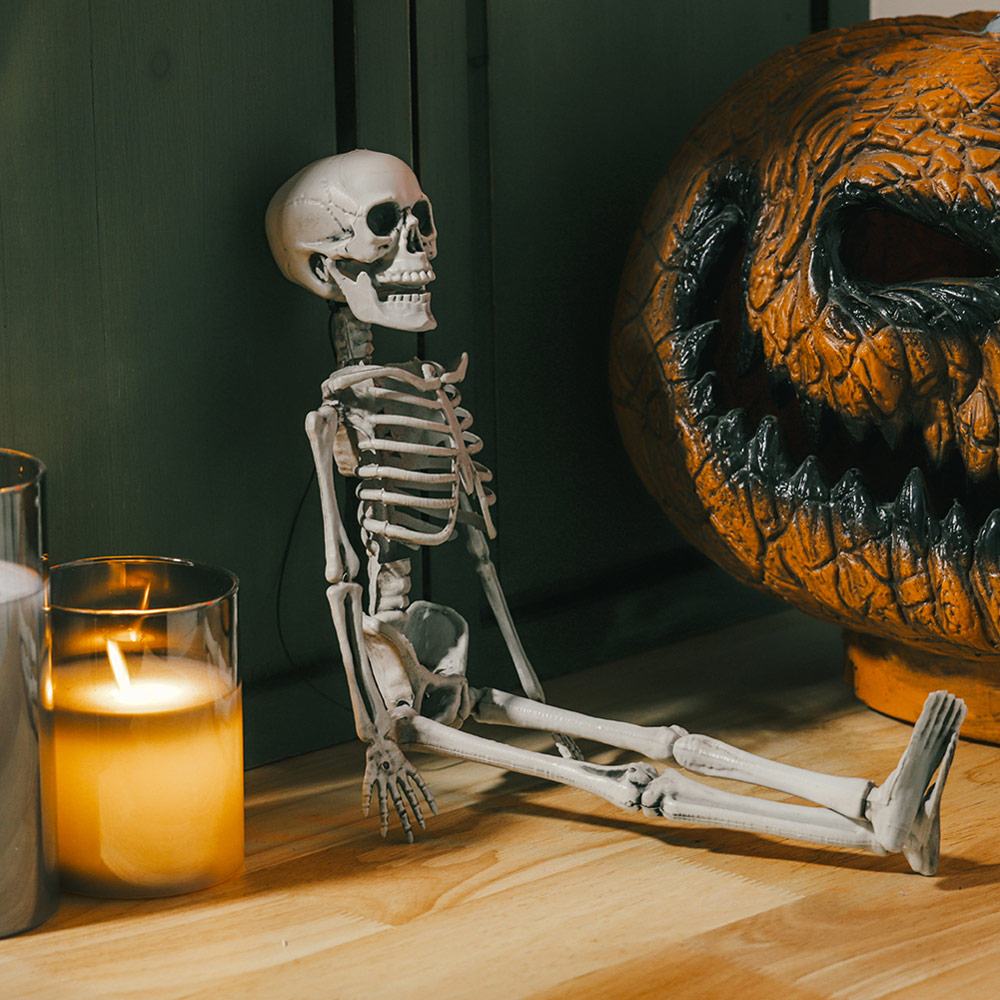 Living and Home Halloween Human Anatomy Skeleton 40cm Image 6