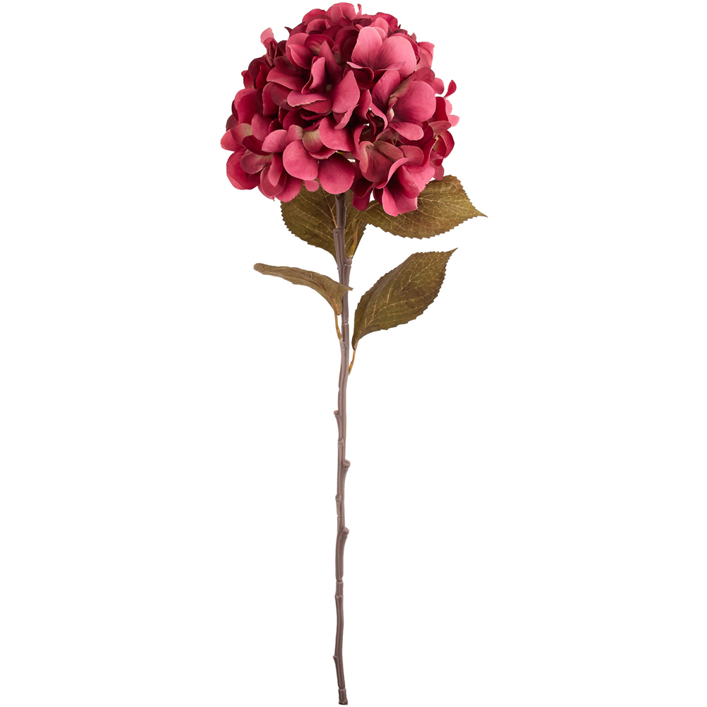 Autumn Hydrangea Stem Image 7