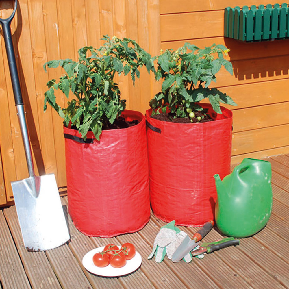 St Helens Tomato Grow Bags 3 Pack Image 3