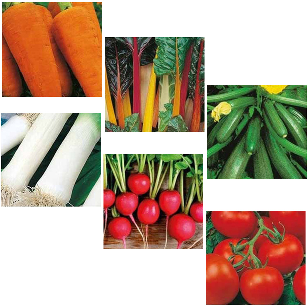 Johnsons Starter Vegetable Seed Bundle Image 1