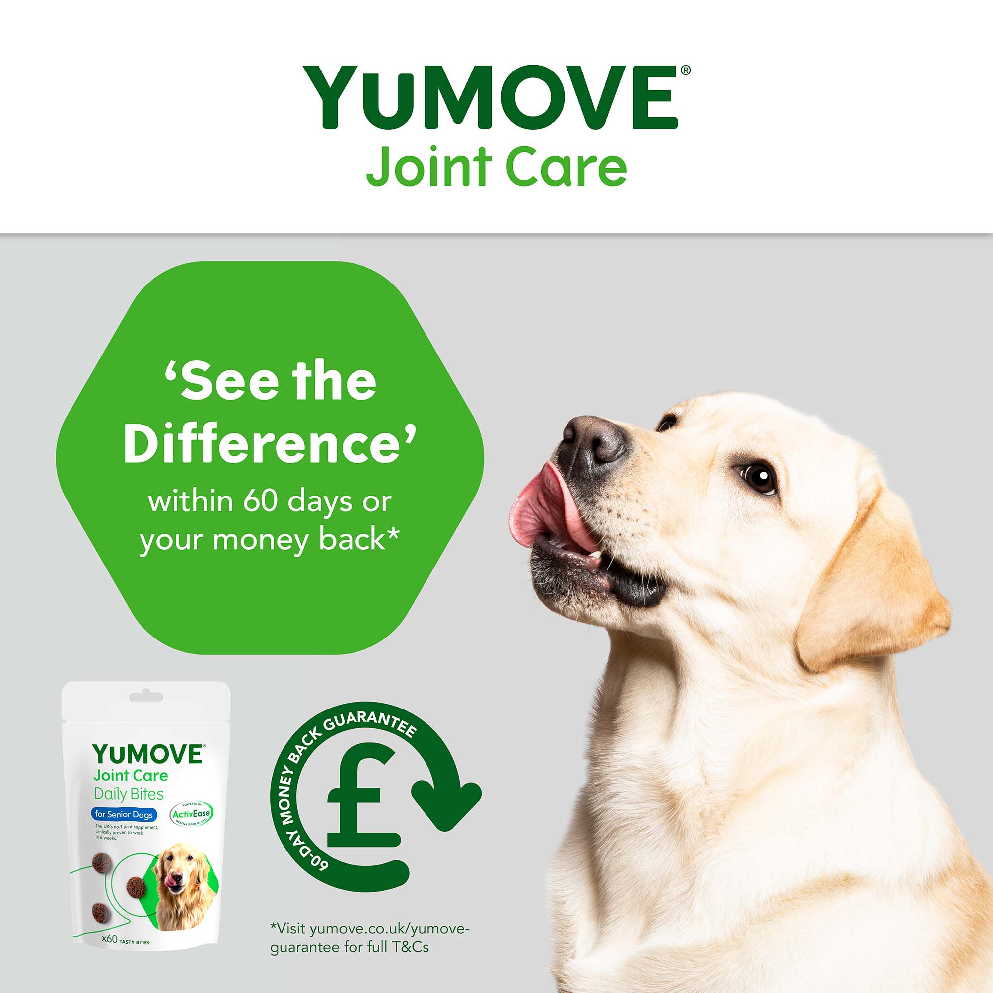 YuMOVE Joint Daily Bite Senior Dogs 60 pack Image 2
