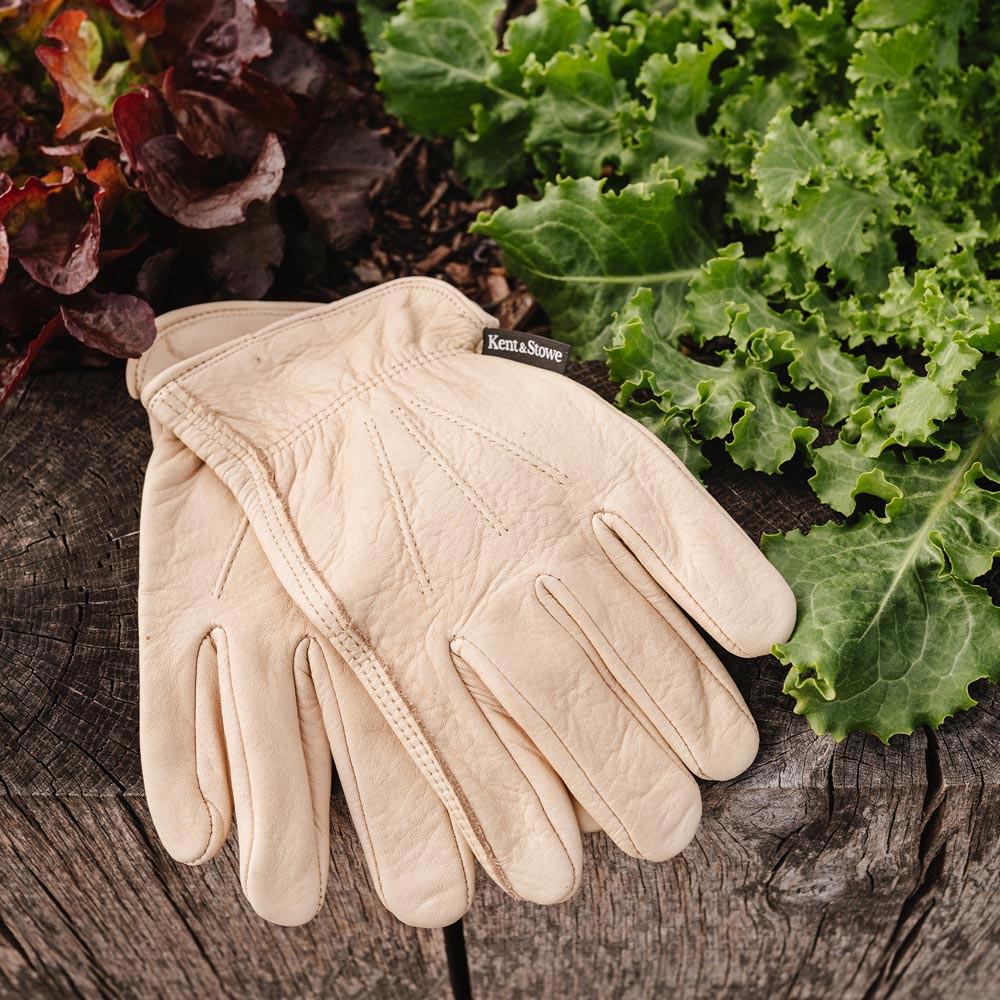 Kent and Stowe Medium Ladies Luxury Leather Water Resistant Gloves Image 2