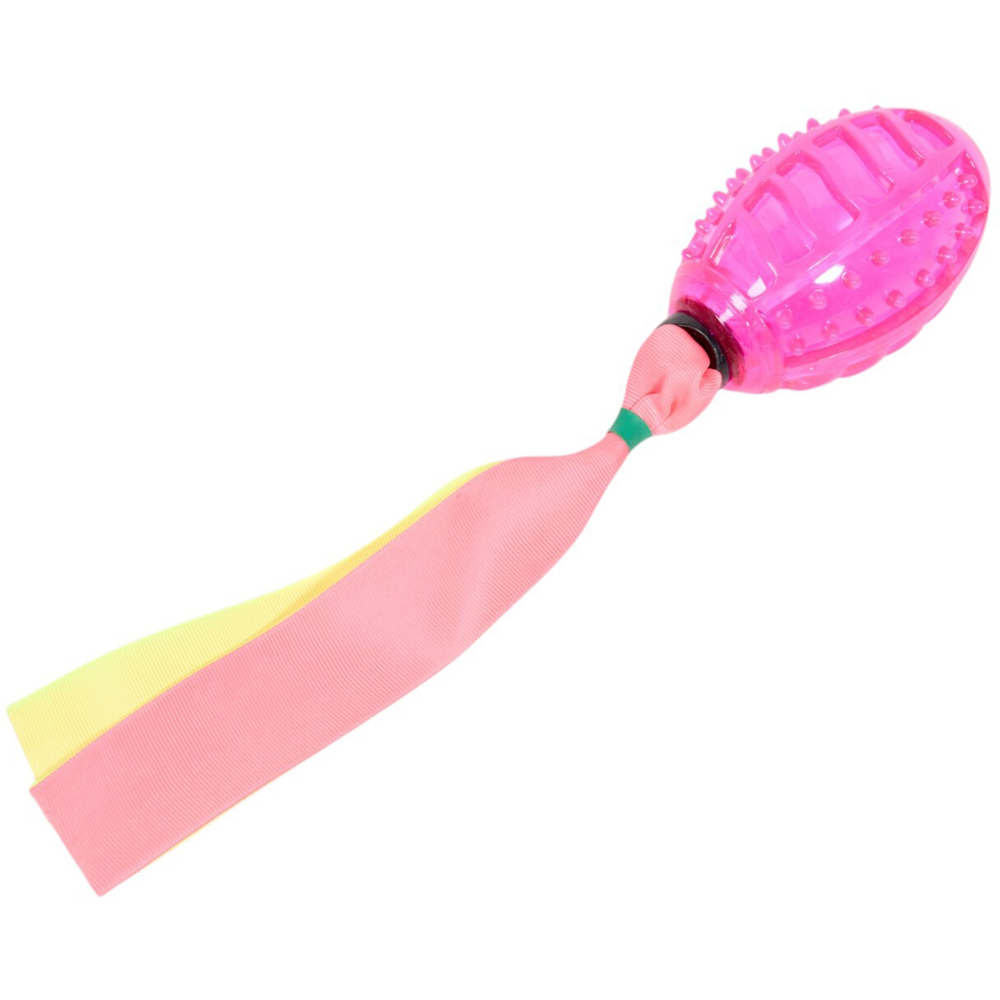 Squeaky Ball with Tail Dog Toy Image 6
