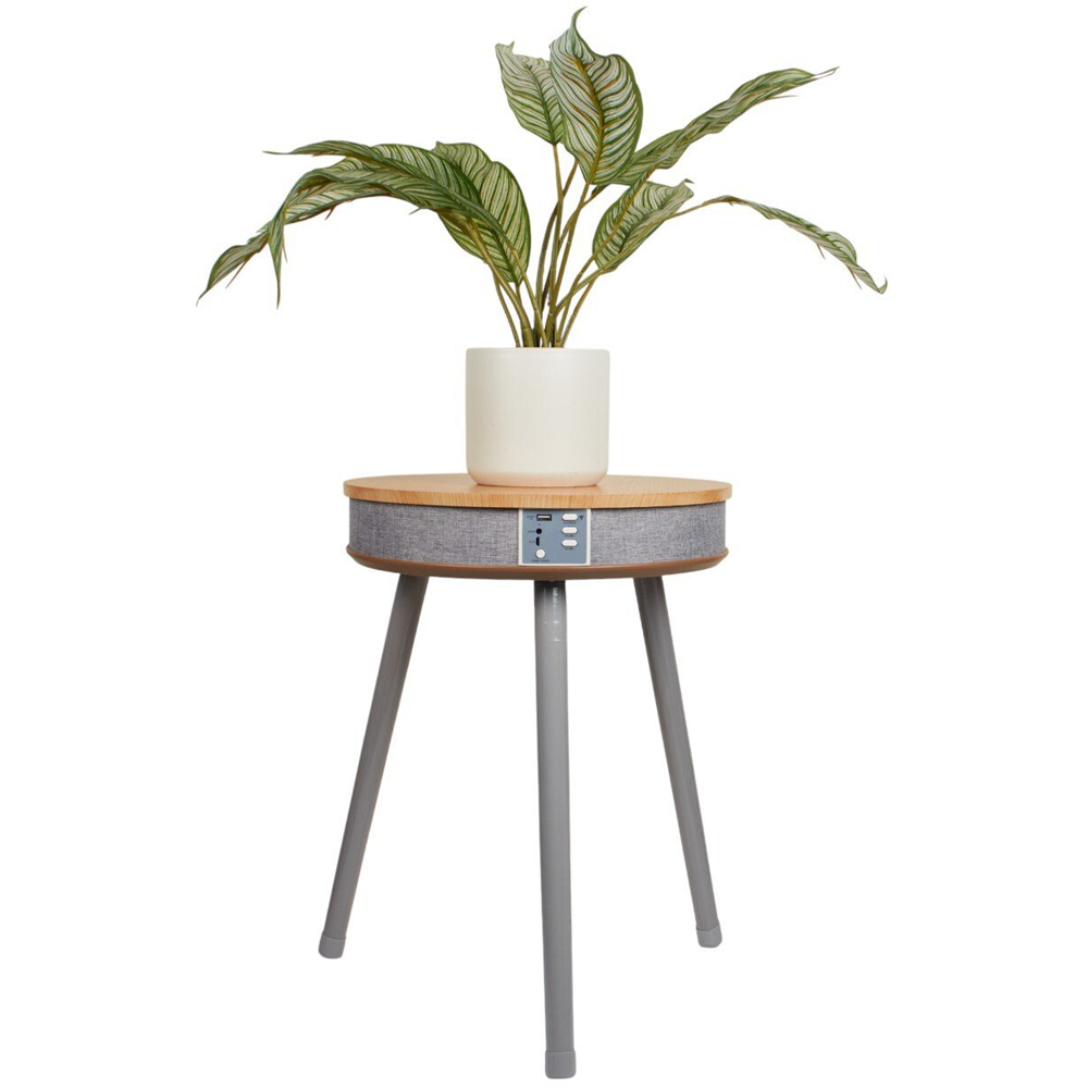 Table Speaker Image 4