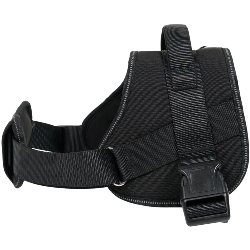 Explorer Harness Black Extra Large Image 1