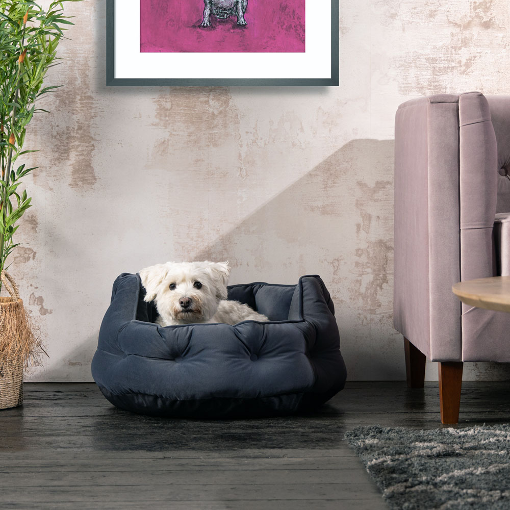 Bunty Monarch Medium Dark Grey Dog Bed Image 8