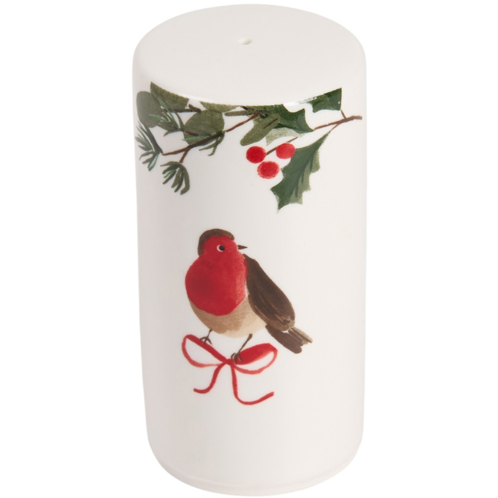 Festive Robin Salt and Pepper Set Image 3