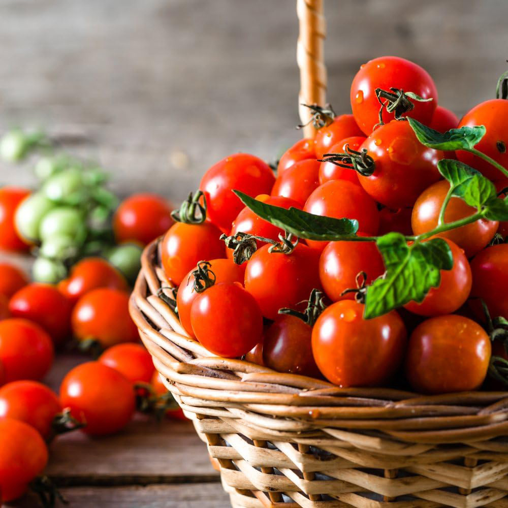 Thompson & Morgan Tomato Consuelo Crimson Cherry Seeds Image 2