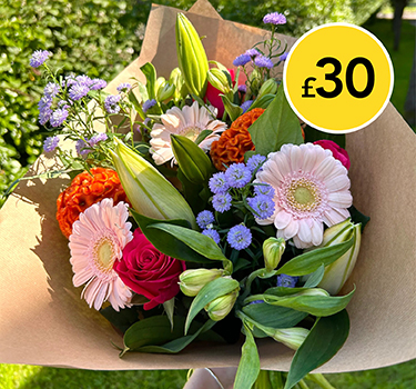 Colouful Summer Mix Flowers