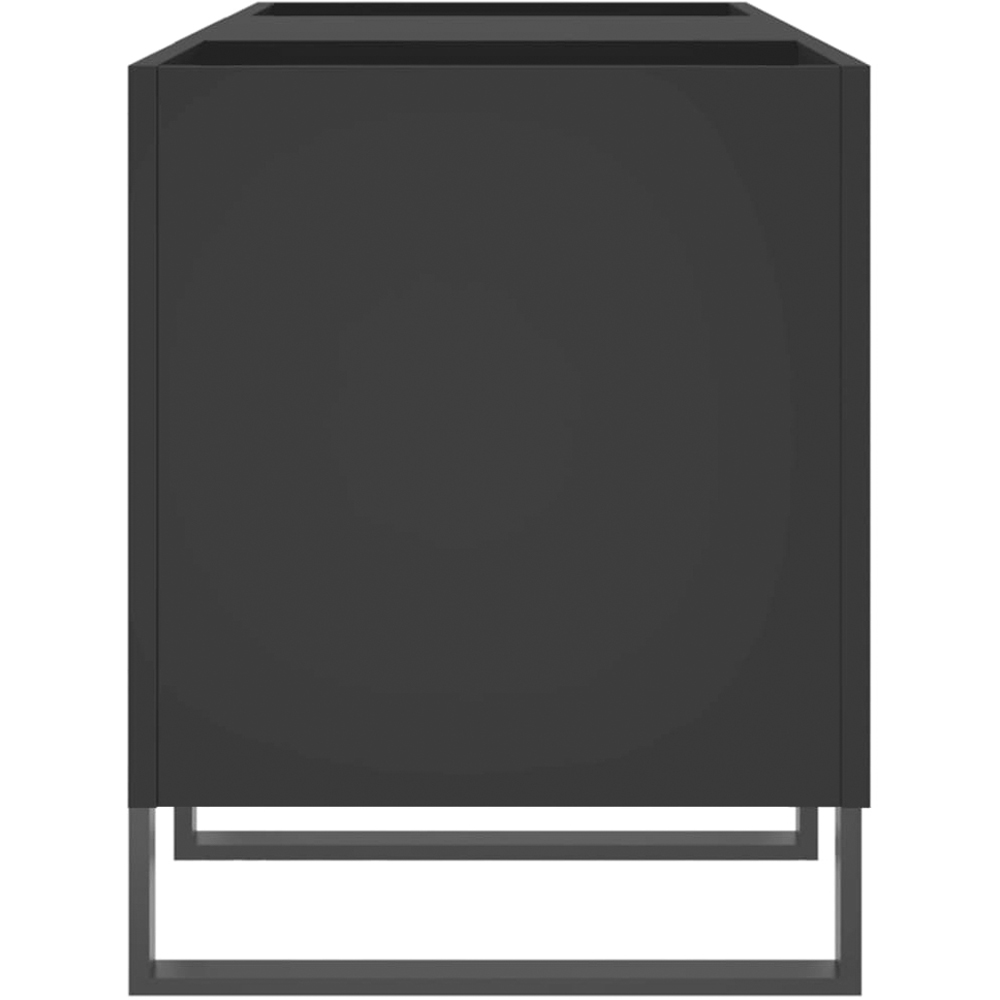 vidaXL 2 Shelf Black Record Cabinet Image 5