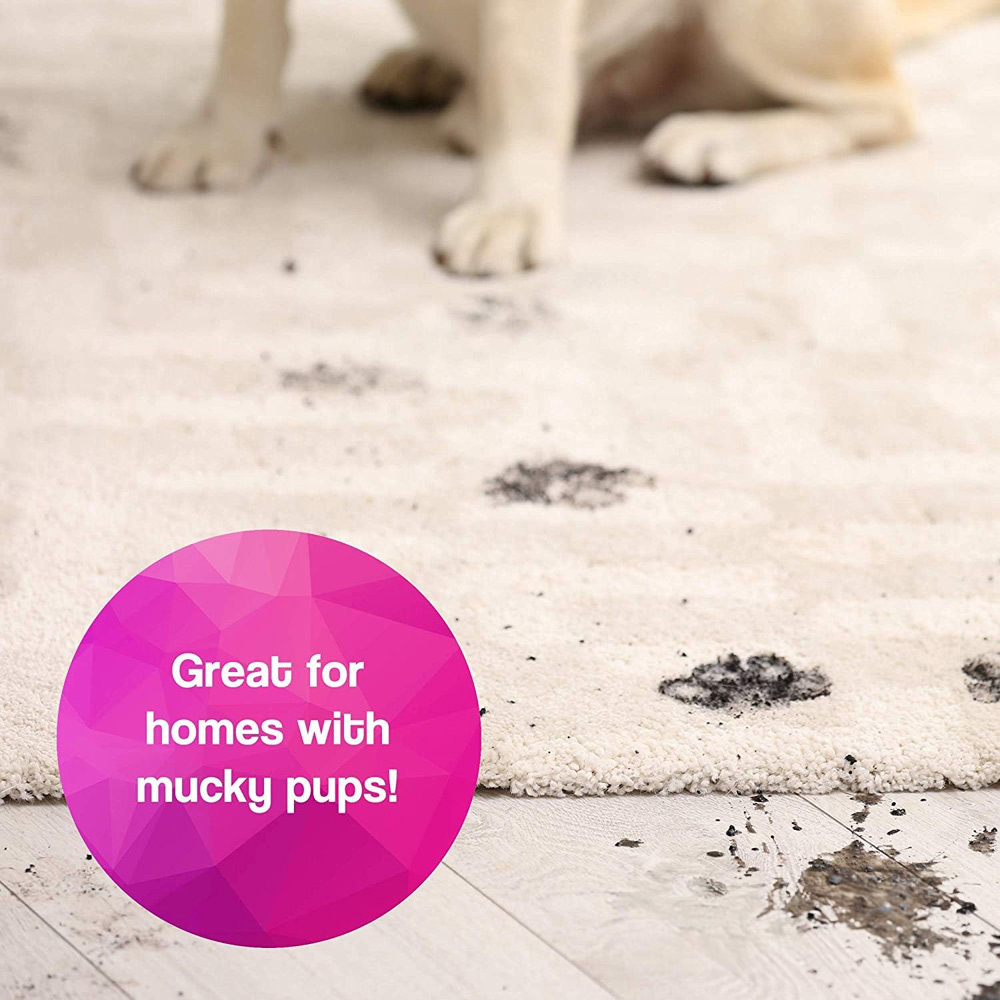 Pretty Pooch Carpet Shampoo 5L Wilko