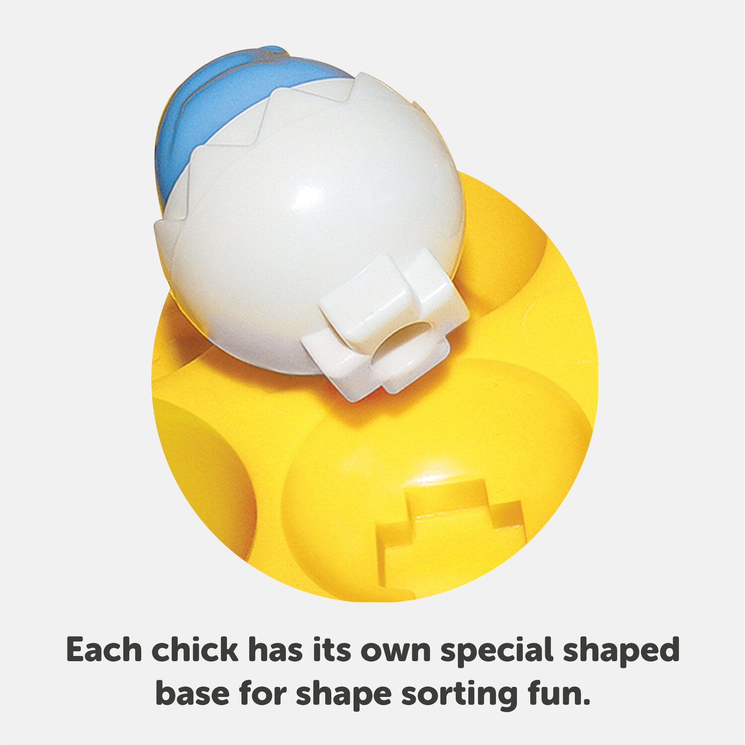 Tomy Hide and Squeek Eggs Image 8