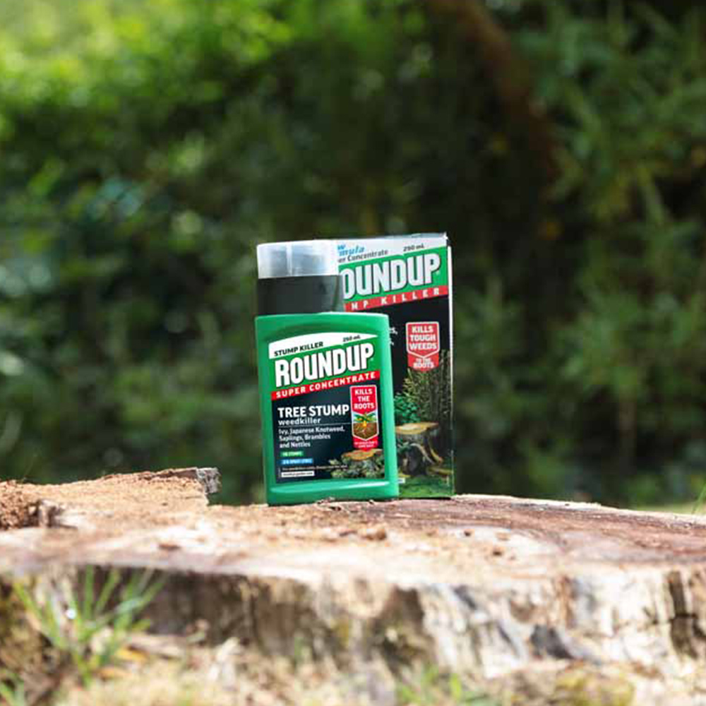 Roundup Super Concentrate Tree Stump and Root Killer 250ml Image 3