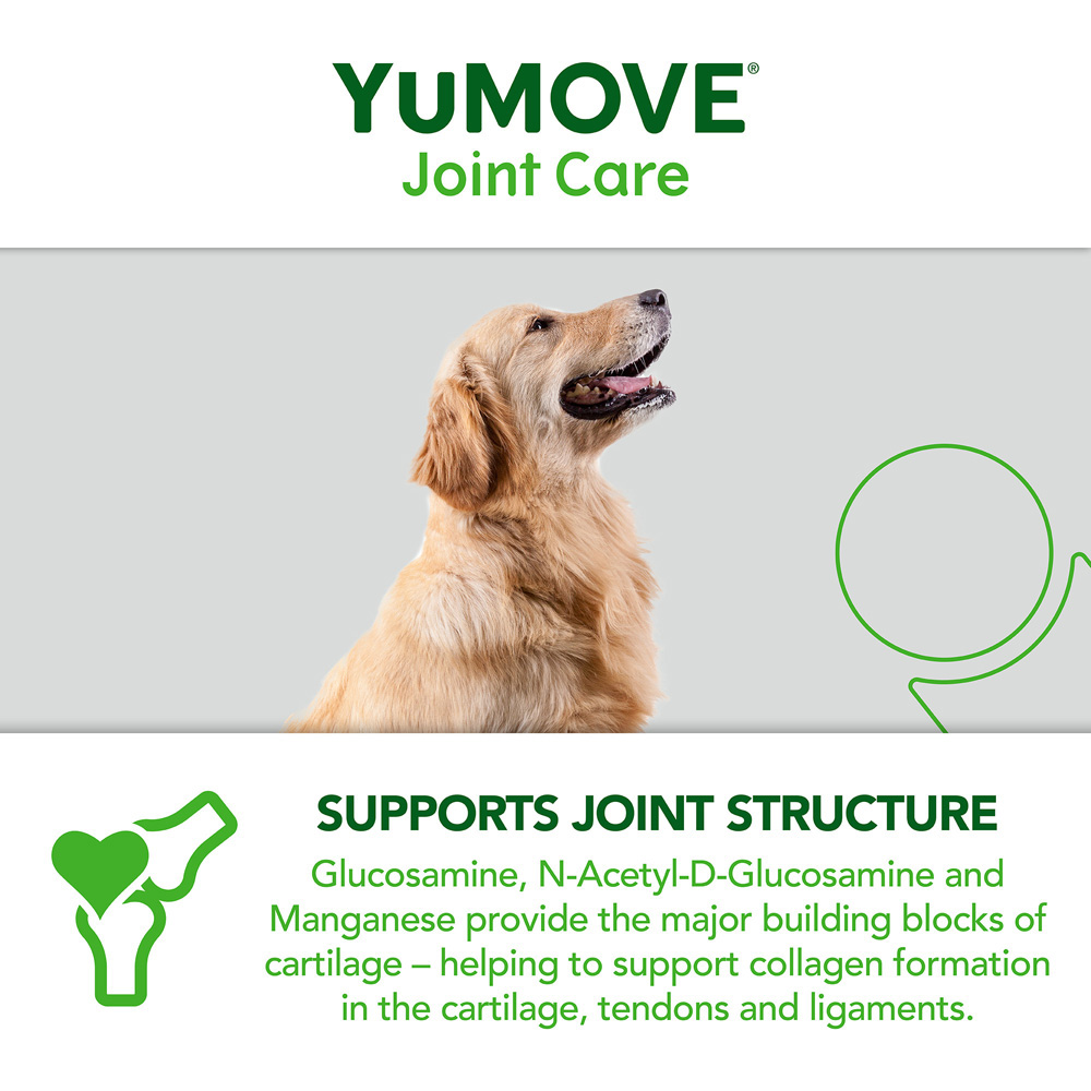 YuMOVE Joint Daily Bite Senior Dogs 60 pack Image 5
