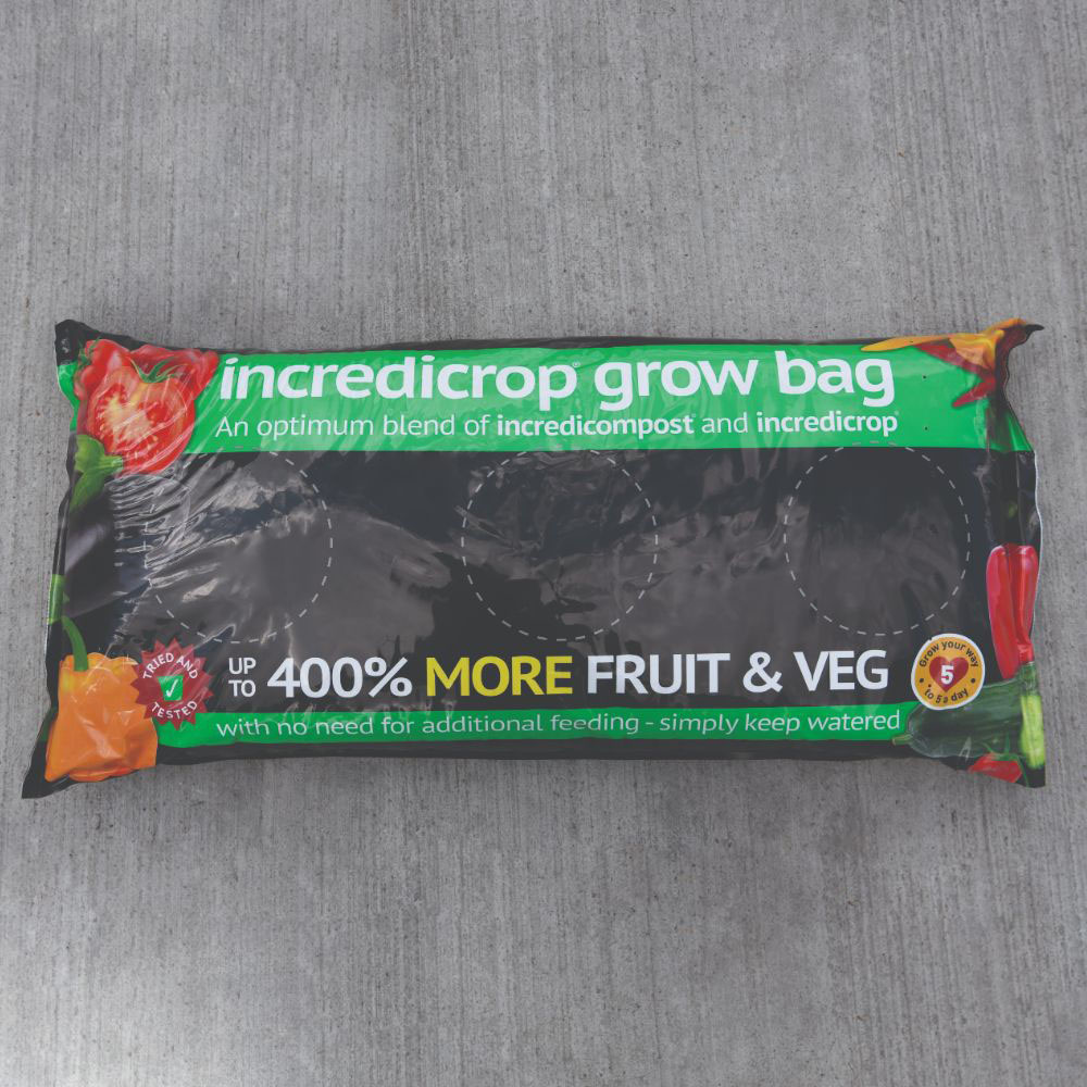Thompson and Morgan Grow Your Own Strawberry Bundle 2 Pack Image 3