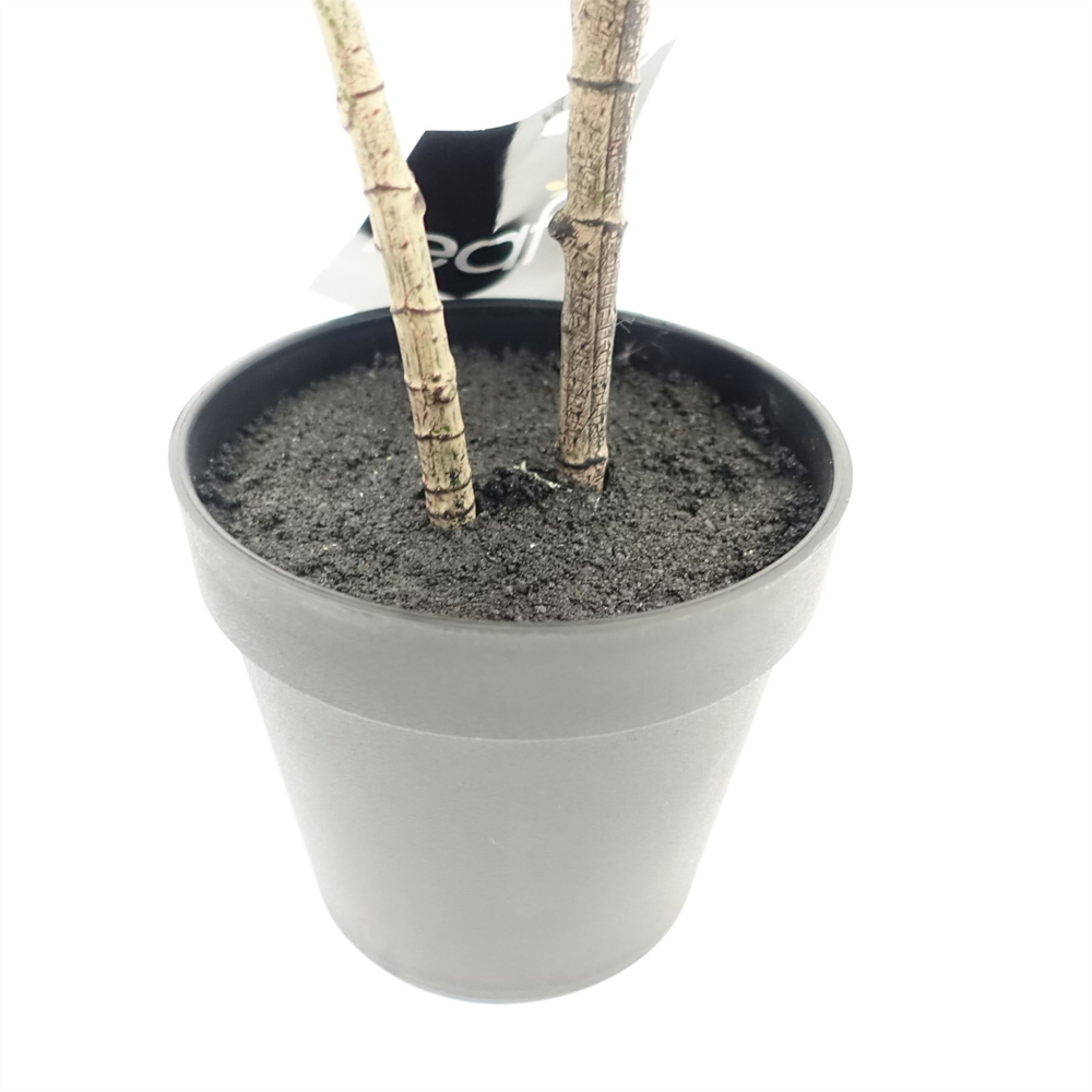 Leaf Rubber Artificial Plant in Pot 65cm Image 4