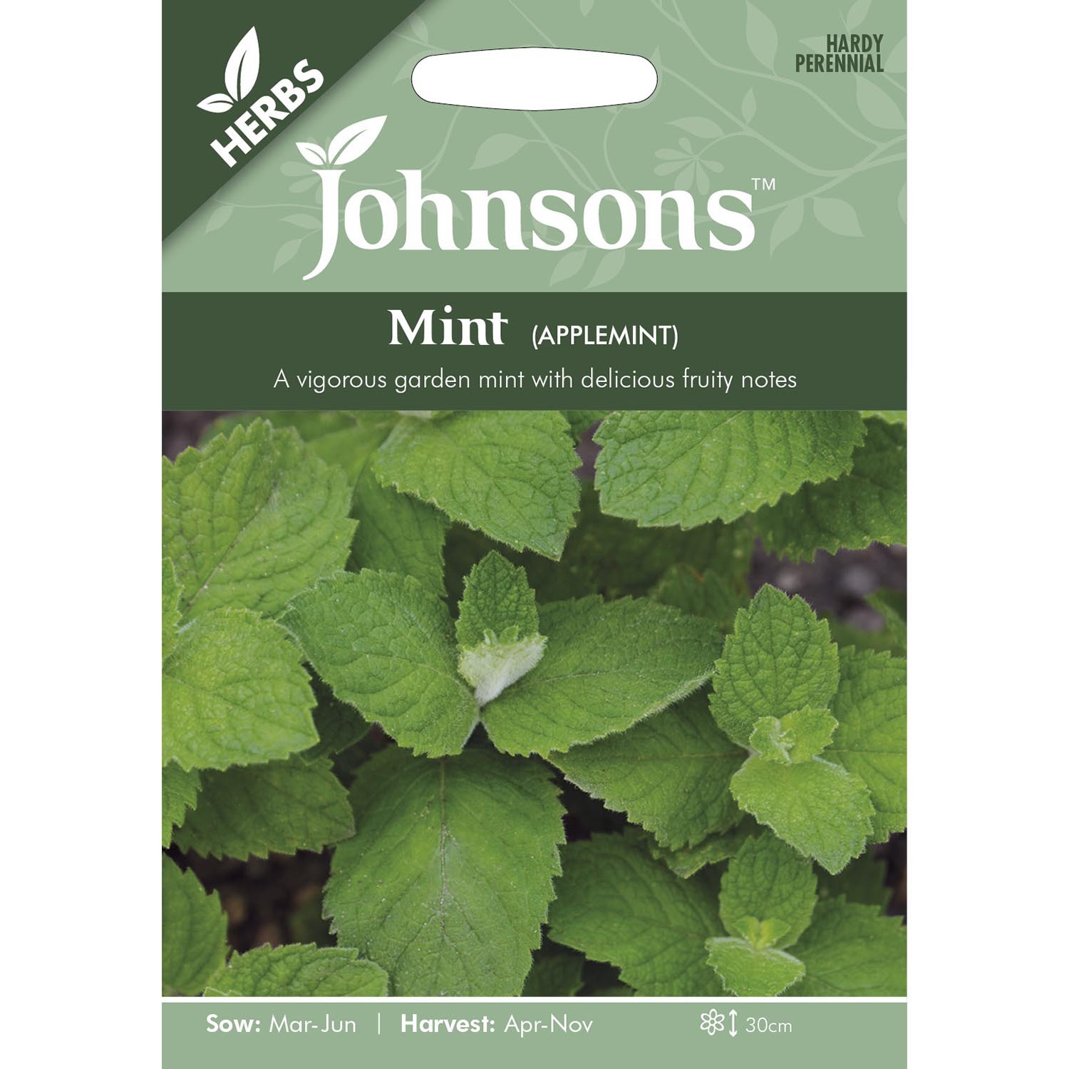 Johnsons Applemint Mint Herb Seeds Image 2
