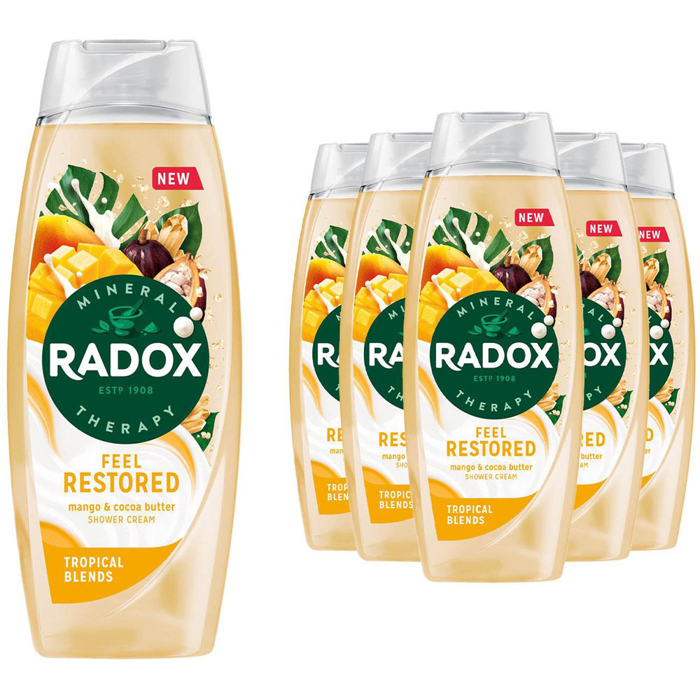 Radox Mineral Therapy Feel Restored Cocoa Butter Shower Gel 450ml 6 Pack Image 1