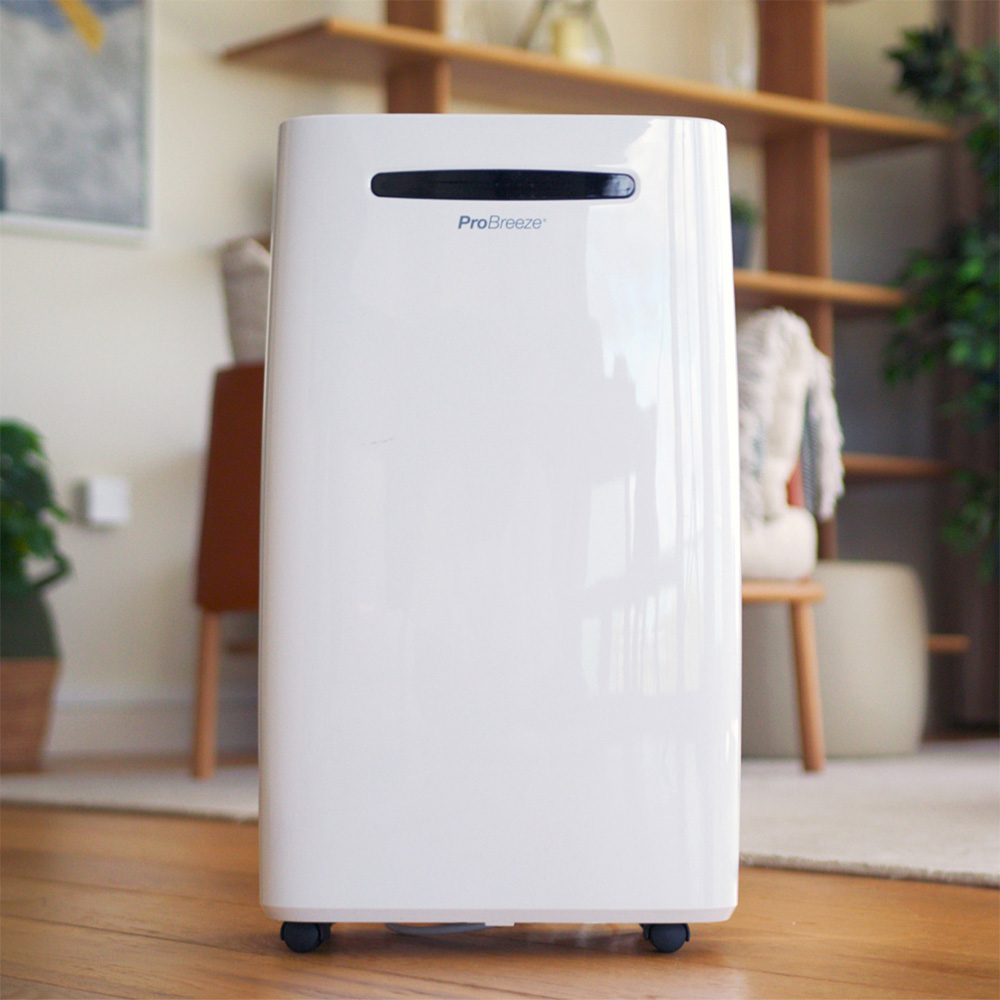 Shop Dehumidifiers