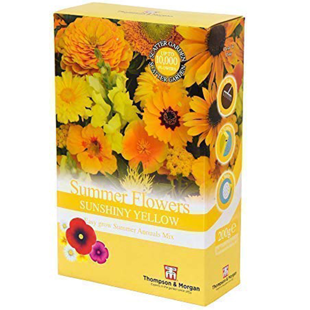 Thompson & Morgan Yellow Colour Theme Summer Flowers Scatter Seeds Image 2