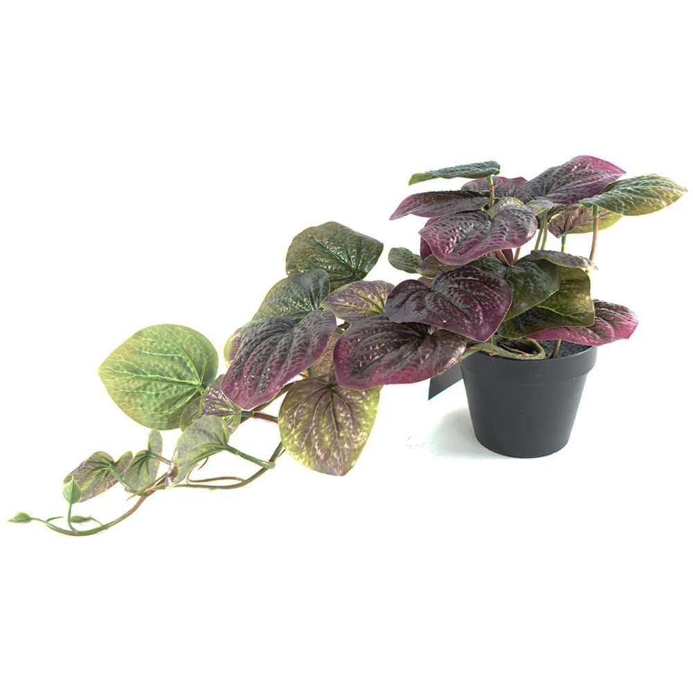 Leaf Purple Trailing Potted Pothos Artificial Plant in Pot 35cm Image 1