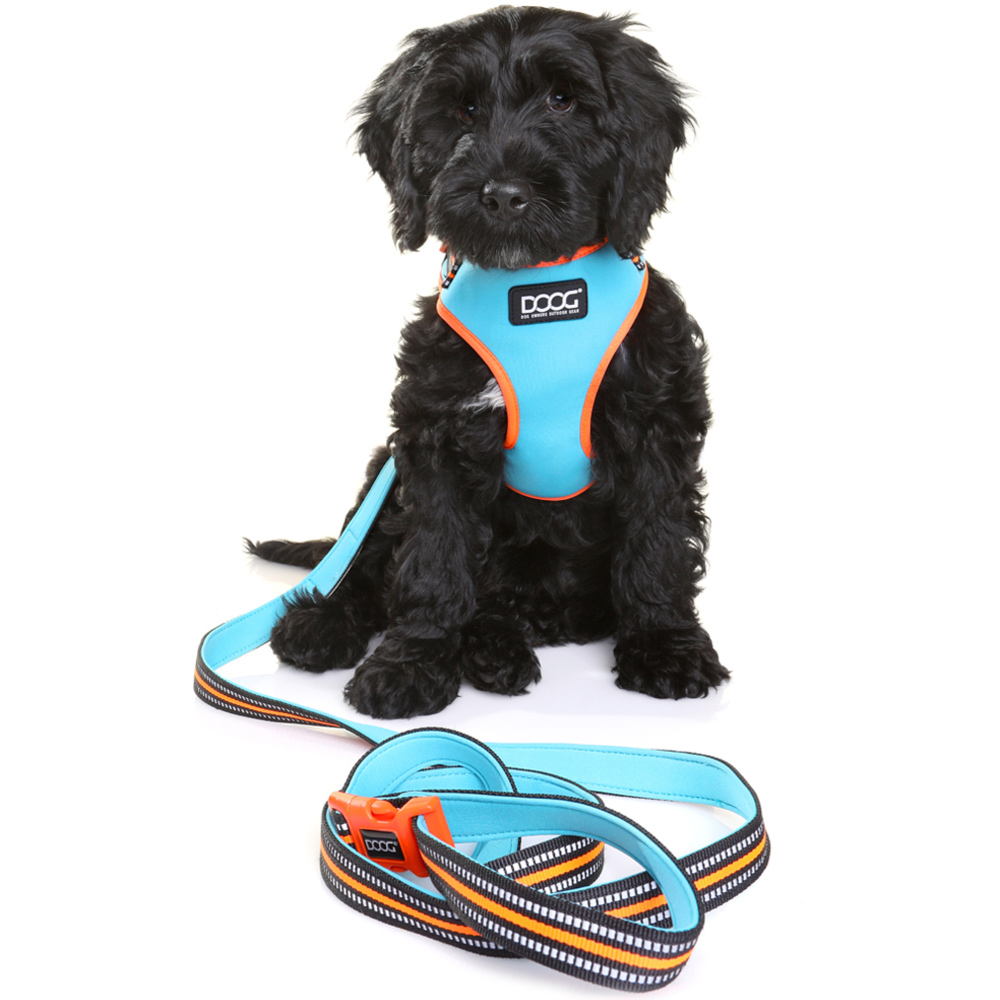 DOOG Small Harbeet Neon Beethoven Dog Harness Image 4