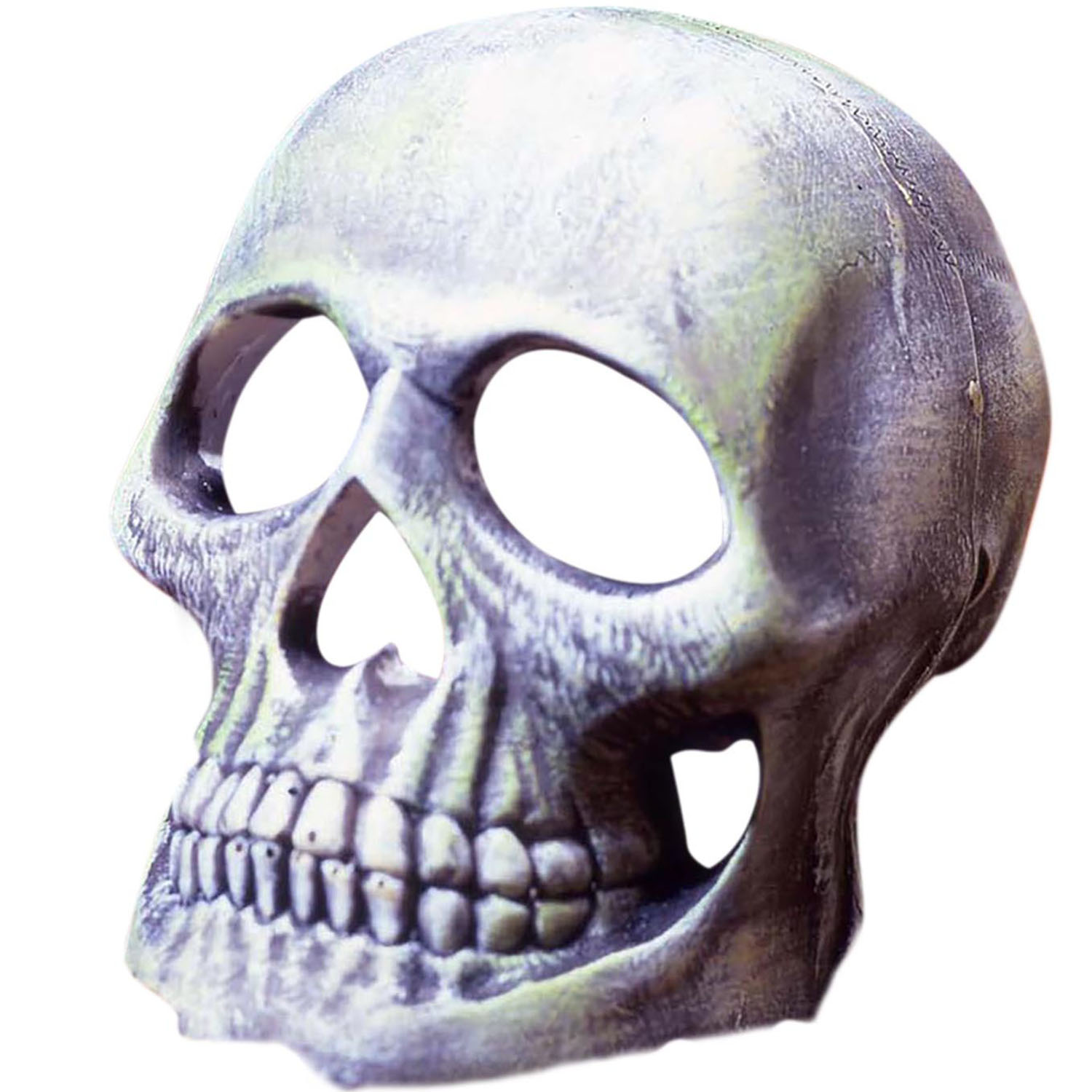 Deco Replica Skull Image 1
