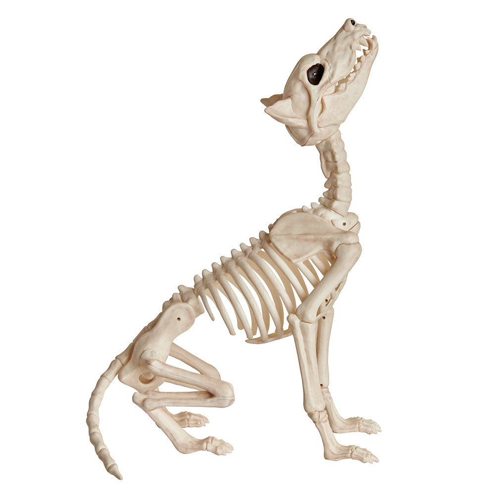 Wilko Animated Skeleton Wolf Decoration Image 1