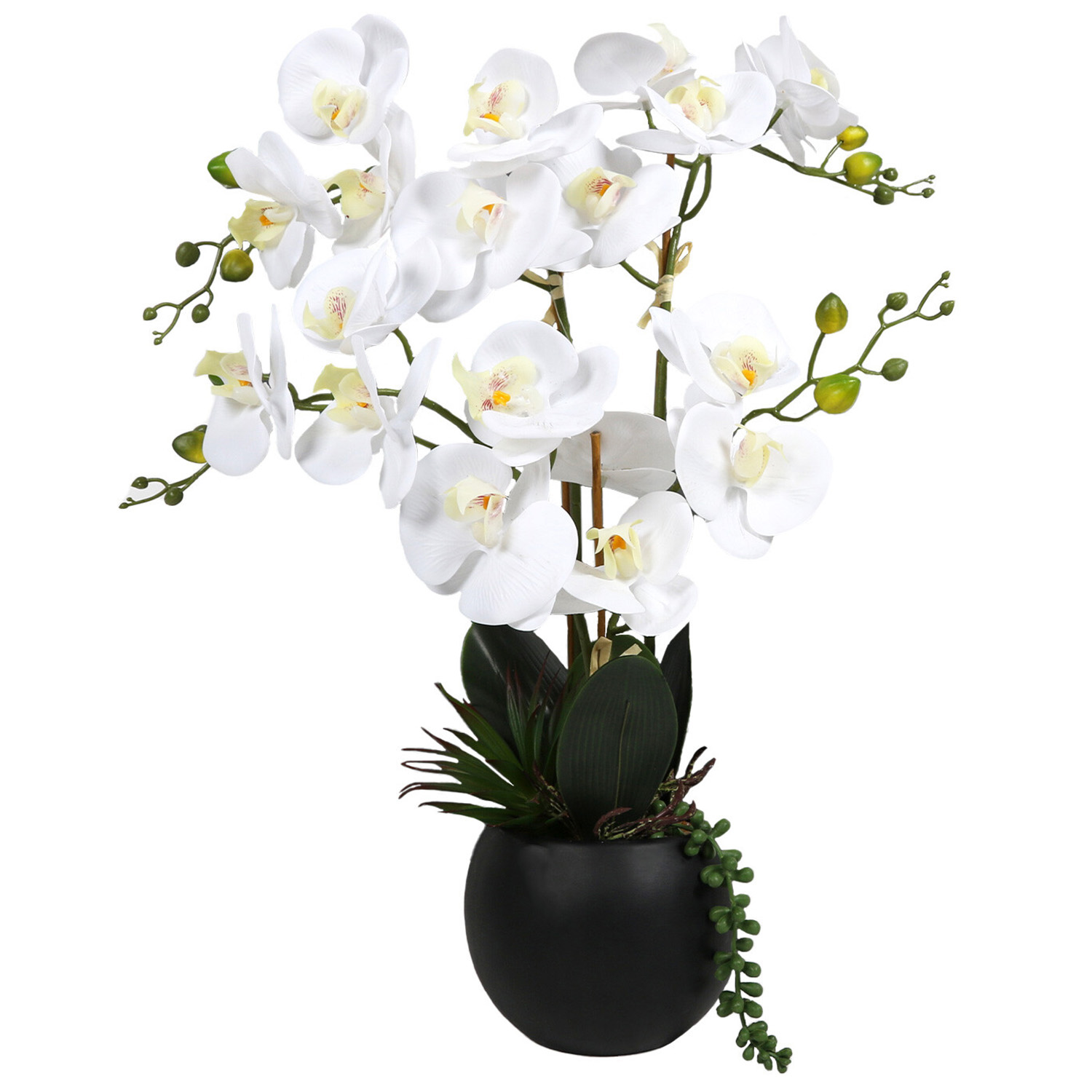 White Orchid in Pot with Succulent Artificial Plant Image 1