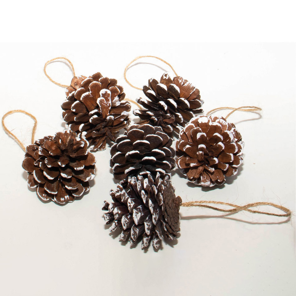St Helens White Tipped Hanging Pinecone Ornaments 6 Pack Image 3