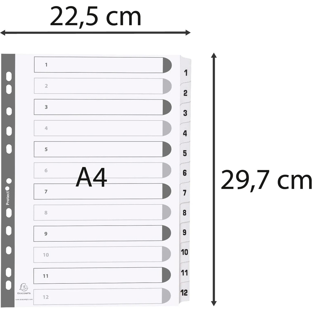 Exacompta A4 White Mylar 1-12 Divider 25 Pack Image 3